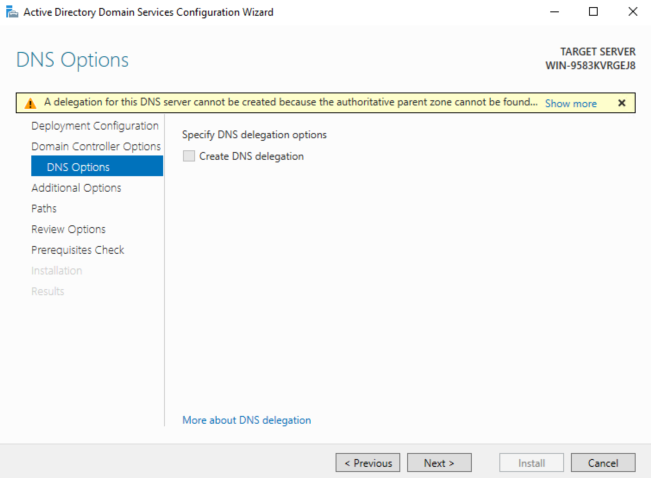 DNS Options DNS Options